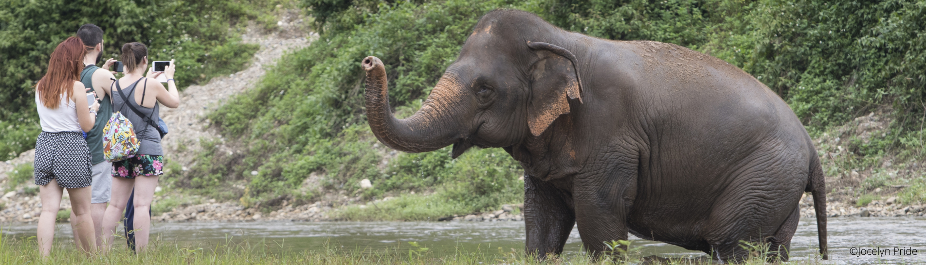 Giving Back_1eyqmdjl6hgz6.png